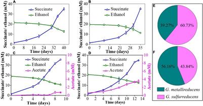 The Role of Exopolysaccharides in Direct Interspecies Electron Transfer